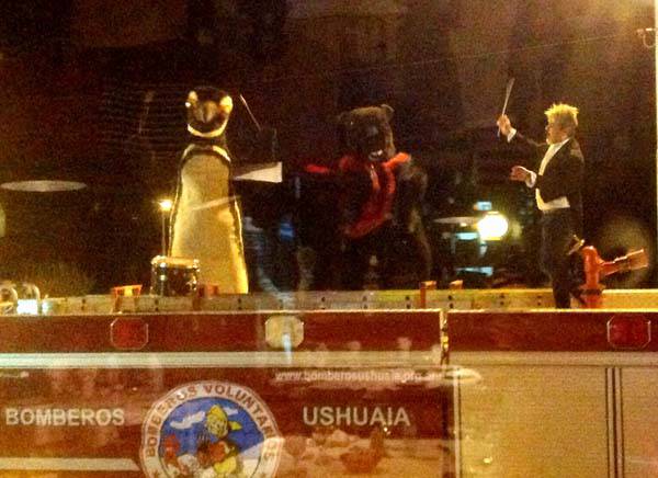 El pingüino y el castor en concierto