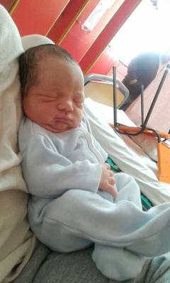 Bienvenido Dante... ¡Al fin llegaste!