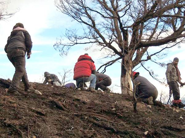 Ya replantaron 48 mil ejemplares de flora autóctona en Bahía Torito