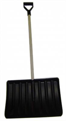 Compañera del invierno