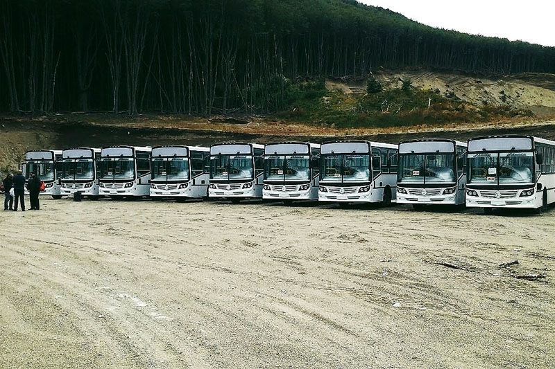 Ya son nueve los colectivos para el transporte urbano