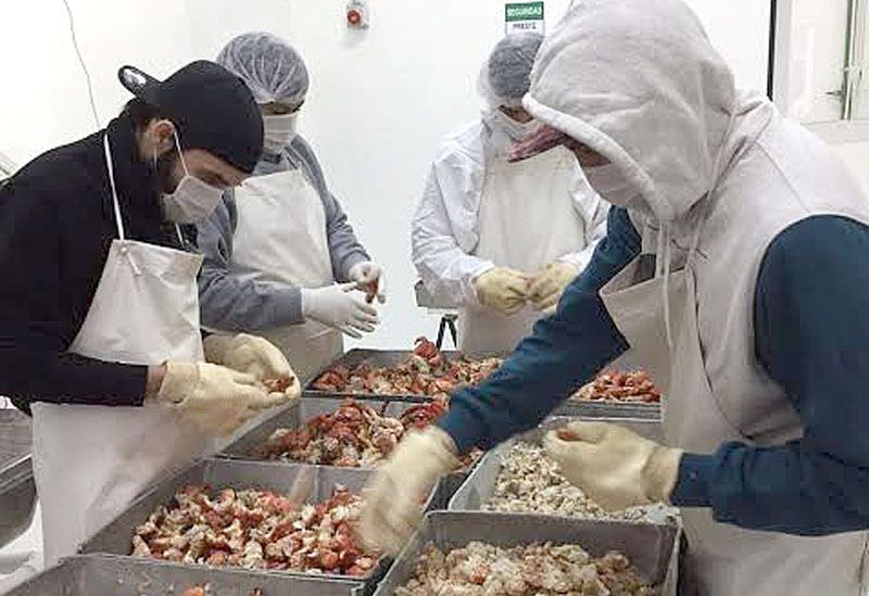La Planta Procesadora de Productos de Mar trabaja con centollón