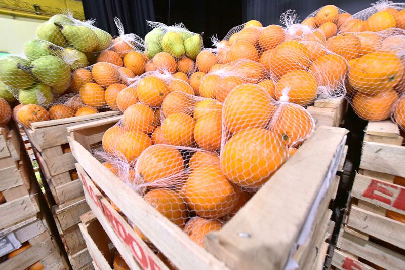 Se realizará una nueva feria ‘Emprendiendo el Futuro’ en Ushuaia