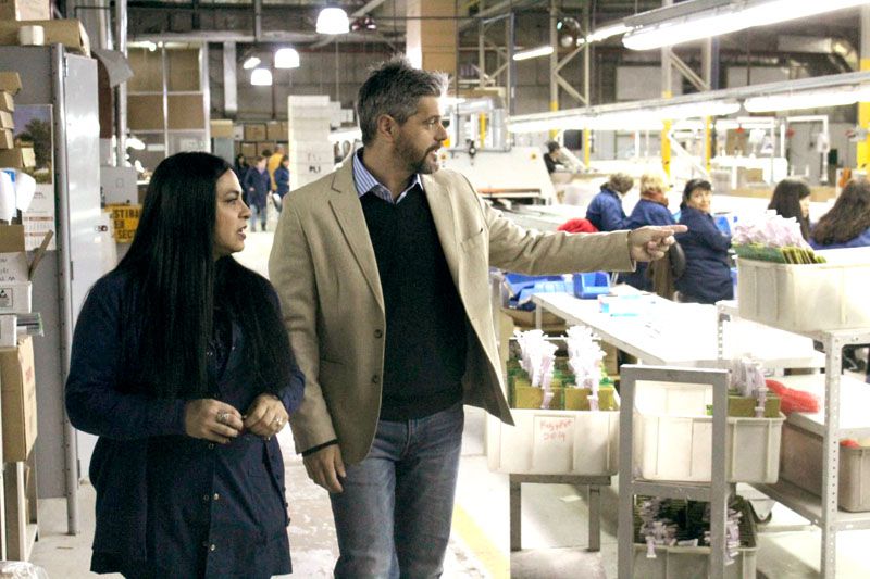 Romano presentará un proyecto para beneficiar a la industria local