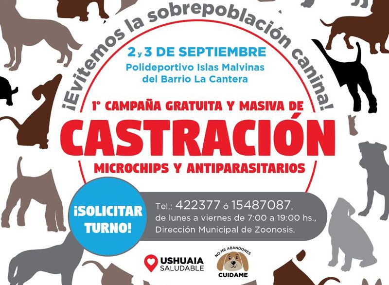 Zoonosis ultima detalles para la primera Jornada de Castración Masiva