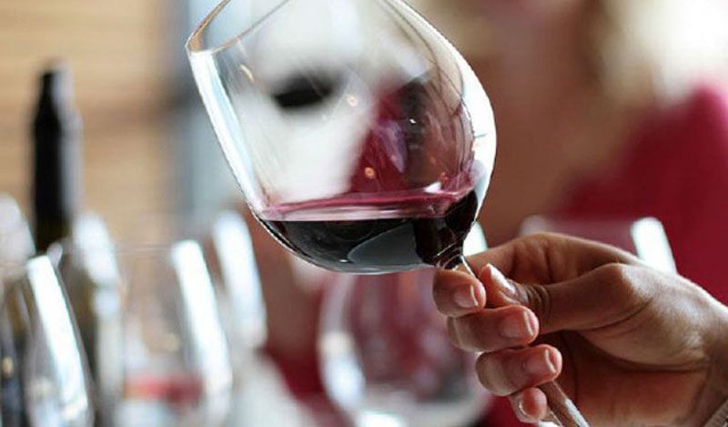 Primera edición en Ushuaia de la “Feria del Vino al Sur”