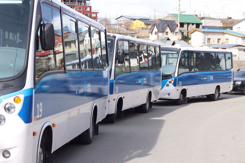 Colectivos: Vuoto destacó el antes y el después