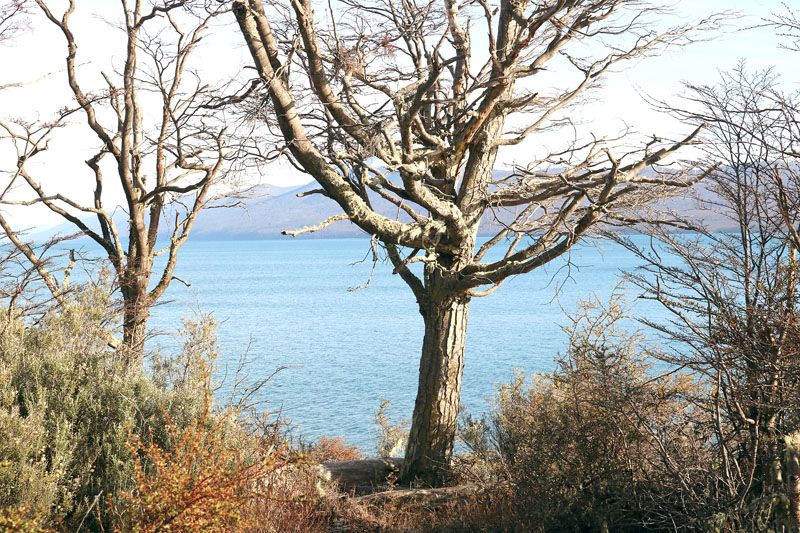 Tolhuin fue seleccionado para integrarse al programa de incentivo turístico “Pueblos Auténticos”