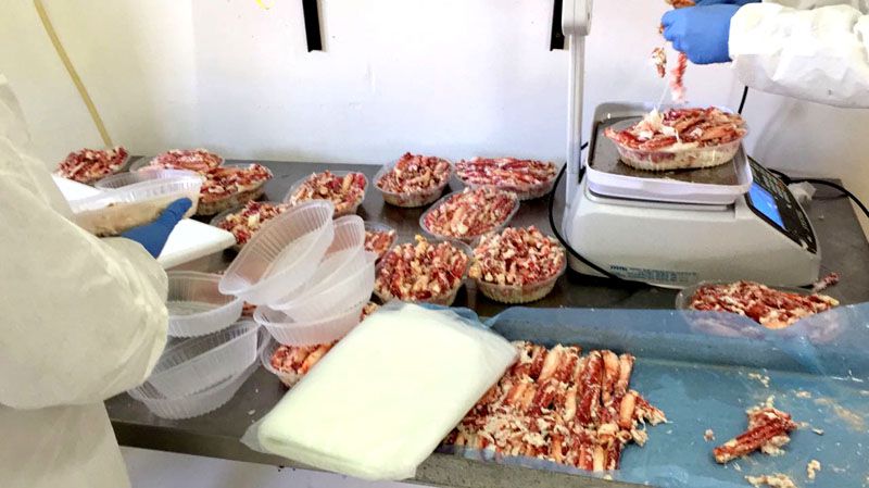 La planta procesadora de productos de mar trabaja junto a pescadores locales