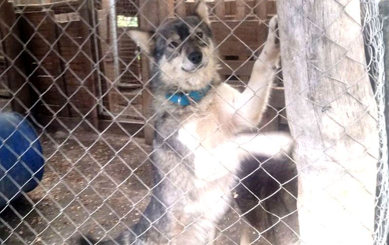 Comenzaron los controles semanales en el Valle de Lobos