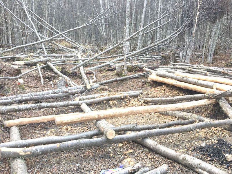 Evitan nuevo intento de intrusamiento en el Valle de Tierra Mayor