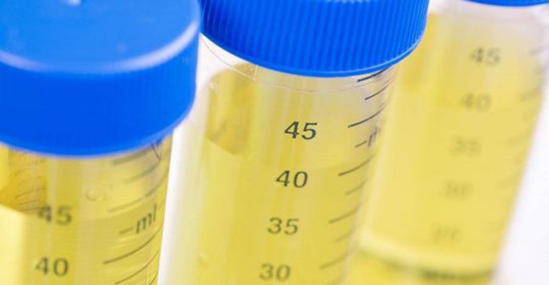 Objetan la Ley Antidoping para jueces y funcionarios de ministerios públicos