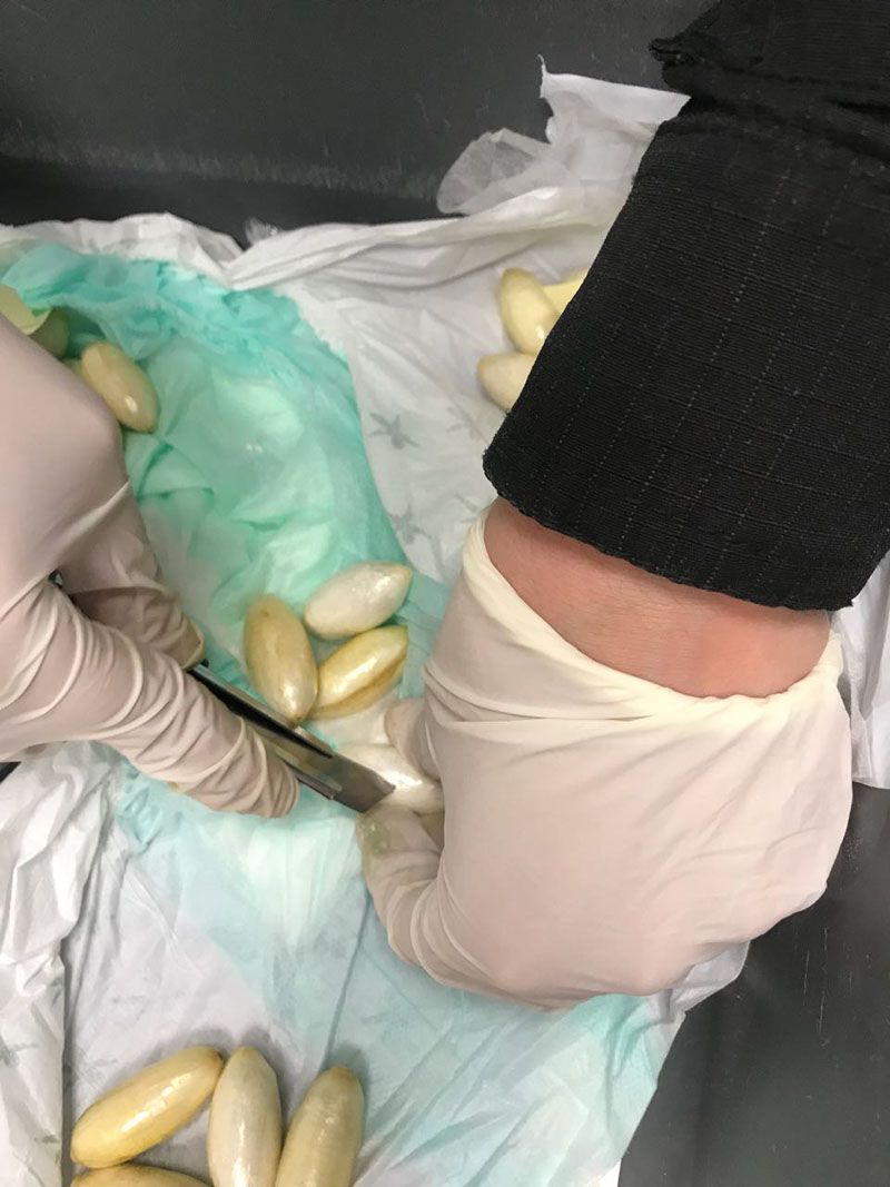 Incautaron casi 1 kilo de cocaína que tenía como destino Río Grande