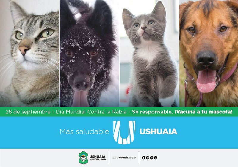 Zoonosis municipal recordó la obligatoriedad de la vacuna contra la rabia