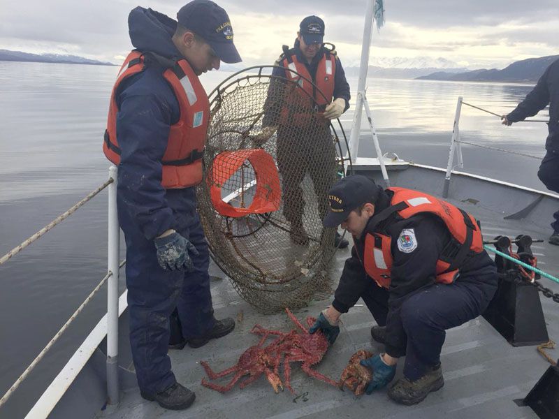 La Prefectura de Ushuaia secuestró más de 100 trampas ilegales