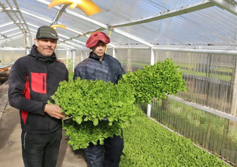 Ya suma más de 60 productores 