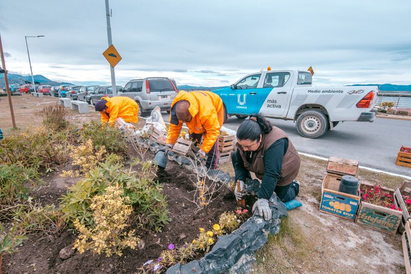 El Municipio recuperó 60 espacios verdes