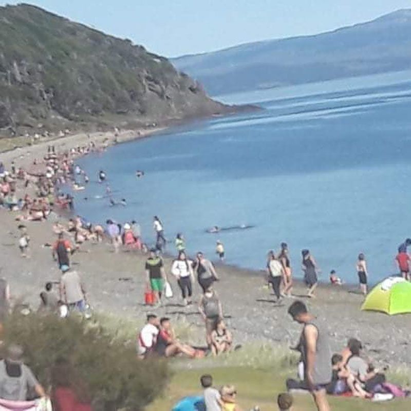 Gobierno dispuso guardias mínimas por las altas temperaturas 