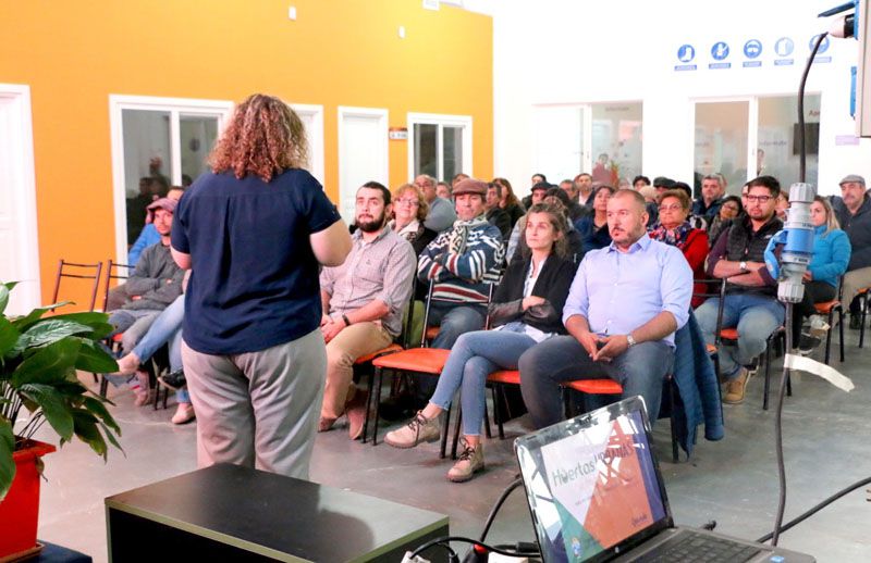 Producción récord de huertas urbanas