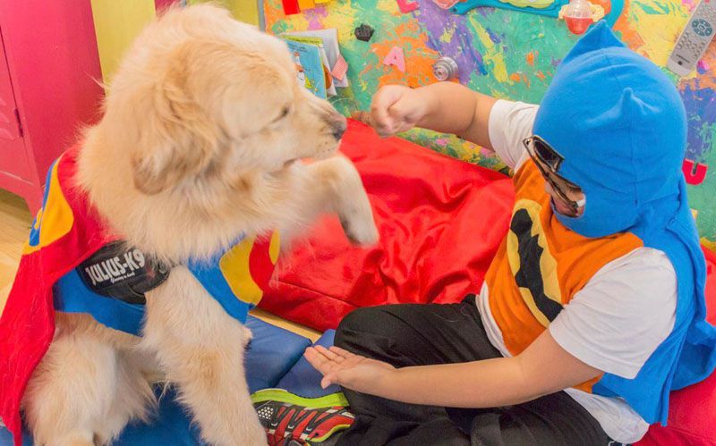 El Senado reconocerá al dispositivo de Terapia Asistida con Perros del Municipio de Ushuaia