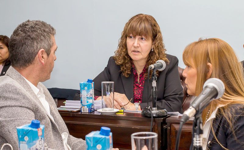 El MPF insiste con la ley de electrodependientes