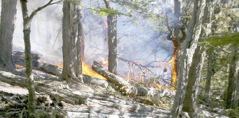Se realizará la reunión anual del comité de incendios forestales