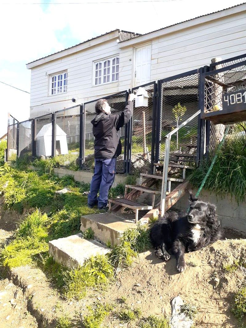 Sigue la campaña municipal de prevención por el coronavirus