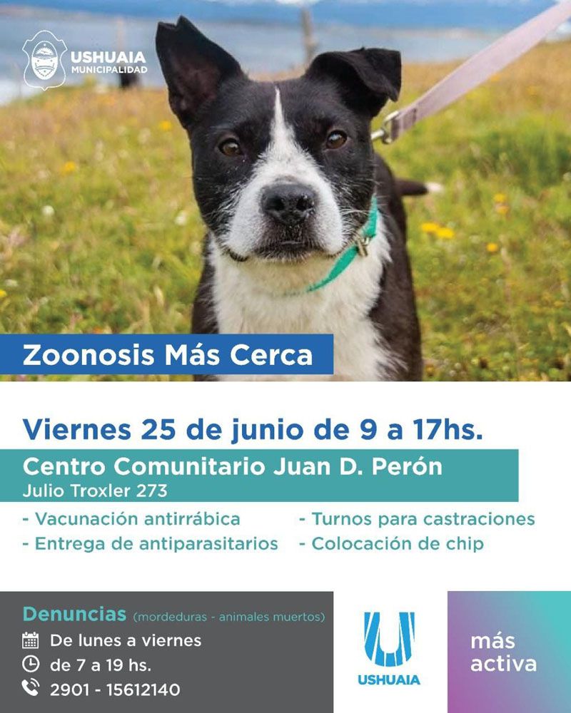 Zoonosis municipal realiza una jornada en el barrio Perón 