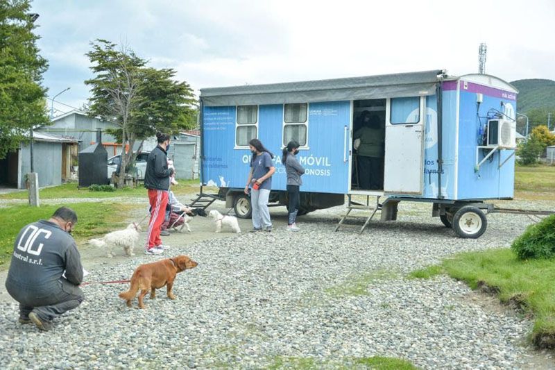 Zoonosis más Cerca sumó una nueva jornada de atención de mascotas