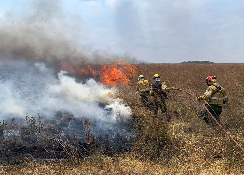 Alberto Fernández reconoció la "necesidad de mejorar la coordinación" del servicio nacional de manejo del fuego