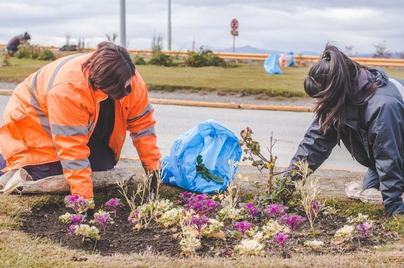 Personal municipal realiza trabajos de embellecimiento en espacios verdes 