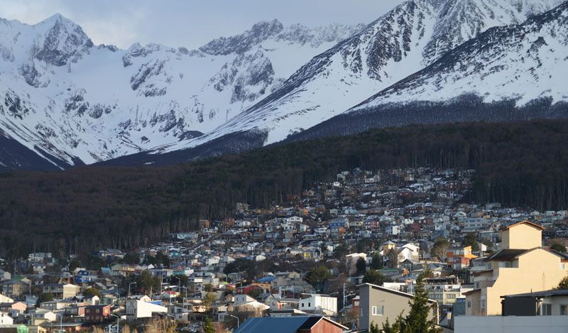 Desde el Municipio aseguran que generan la proliferación de roedores