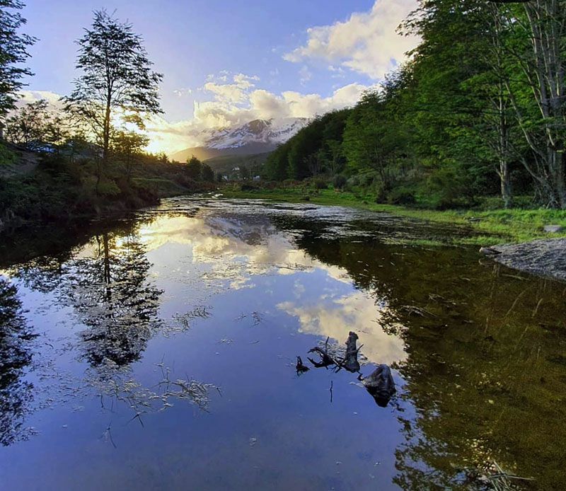 Preservación de la reserva urbana del barrio Ecológico