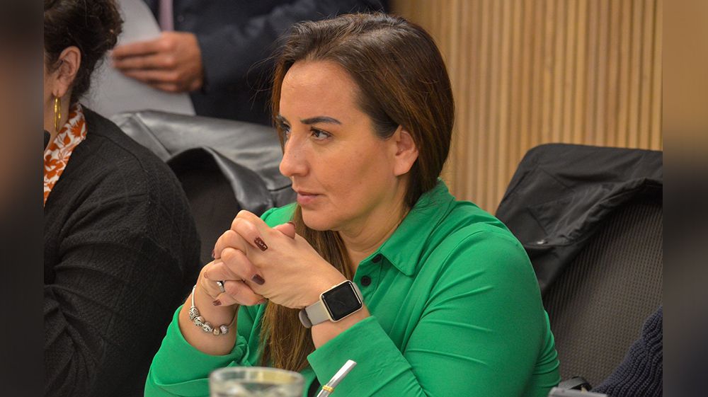 Facultades delegadas y RIGI en el centro de la controversia nacional