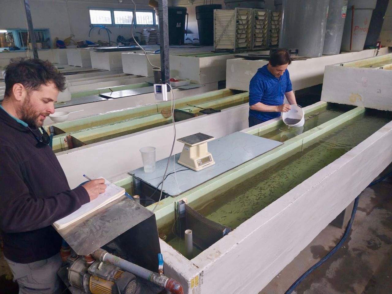 La estación de piscicultura “Río Olivia” cumplió 50 años 