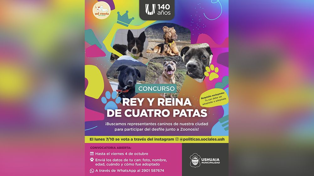 Ushuaia elegirá ‘Reyes de cuatro patas’ para el desfile 
