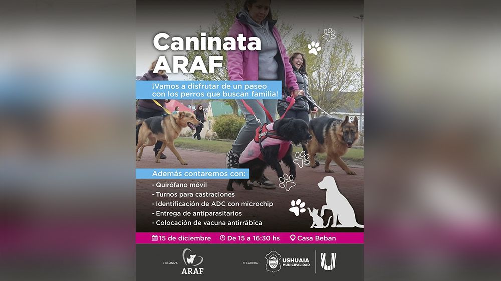 ARAF y la Municipalidad invitan a una nueva ‘Caninata’
