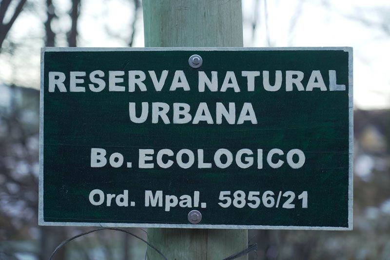 Piden desarme de estructuras clandestinas en el Ecológico