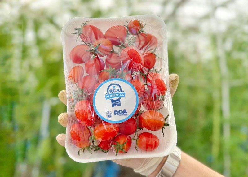 RGA Alimentos apuesta a tener tomates todo el año
