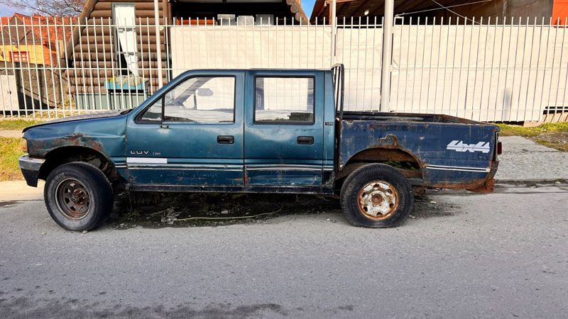 Homo Chatarrus australis 