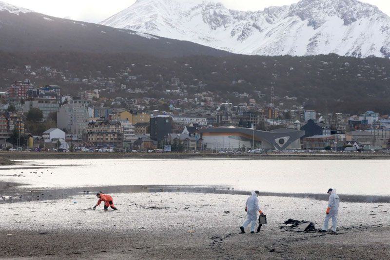 Medio Ambiente y ABE realizaron una jornada de limpieza en Bahía Encerrada
