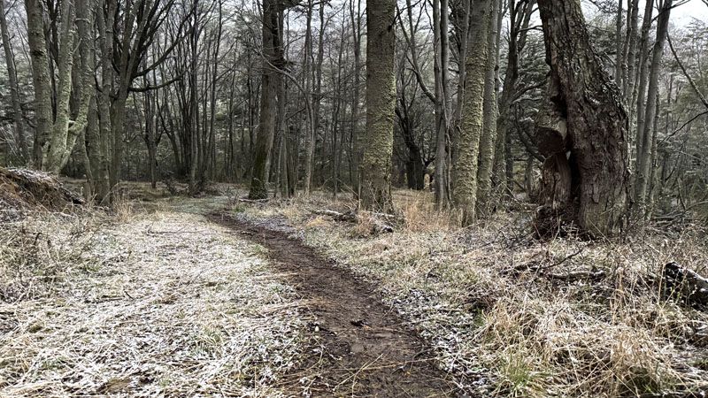 Anticipan jornadas agradables con heladas matinales hasta el viernes