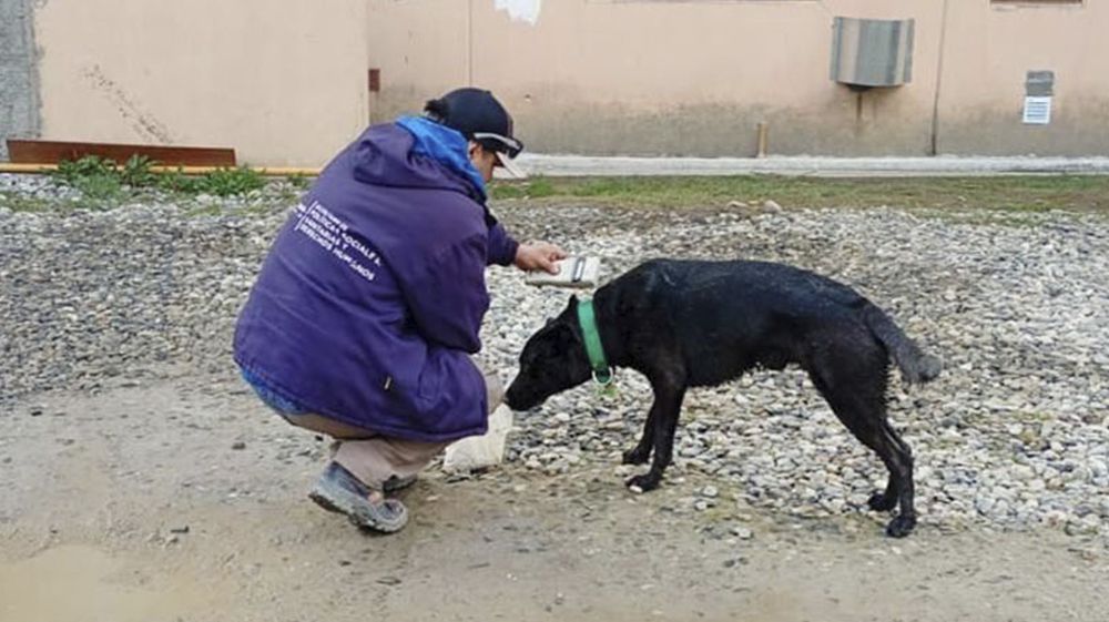 Zoonosis realizó un operativo territorial en el barrio Mirador de los Andes
