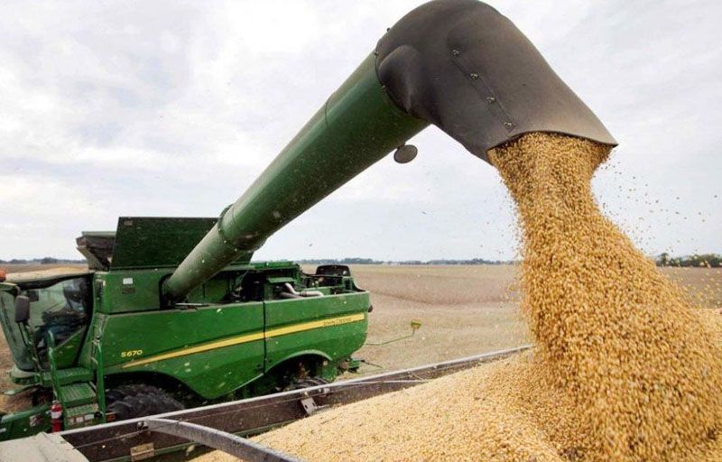 Malestar en el campo por las retenciones 0 a los granos