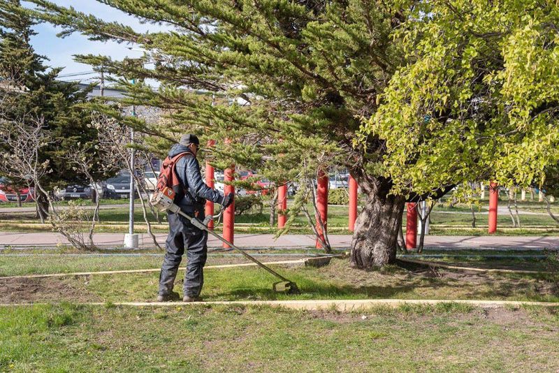 Río Grande embellece su rostro urbano