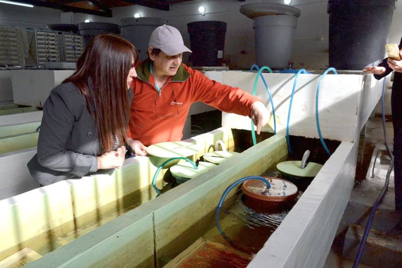 La acuicultura como polo de desarrollo  