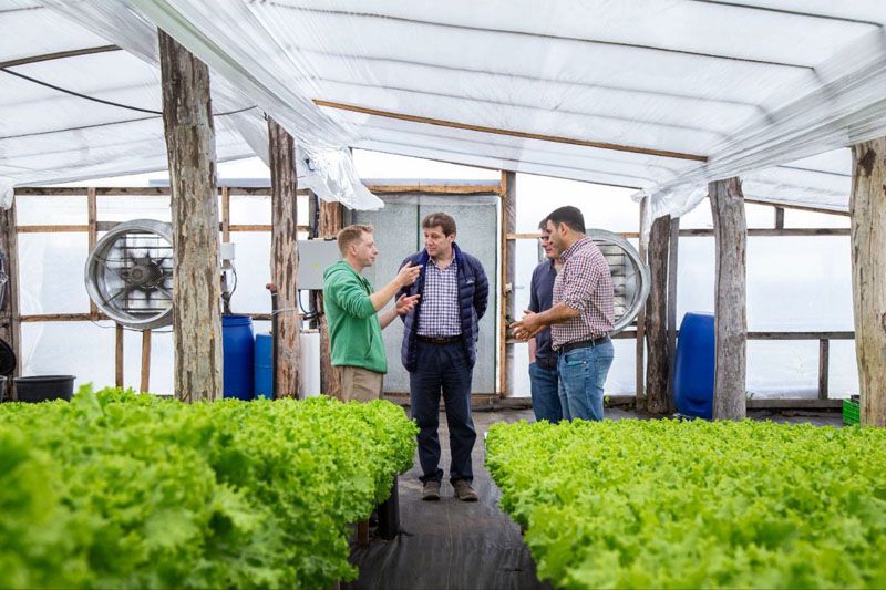 Innovación agrícola en Tolhuin