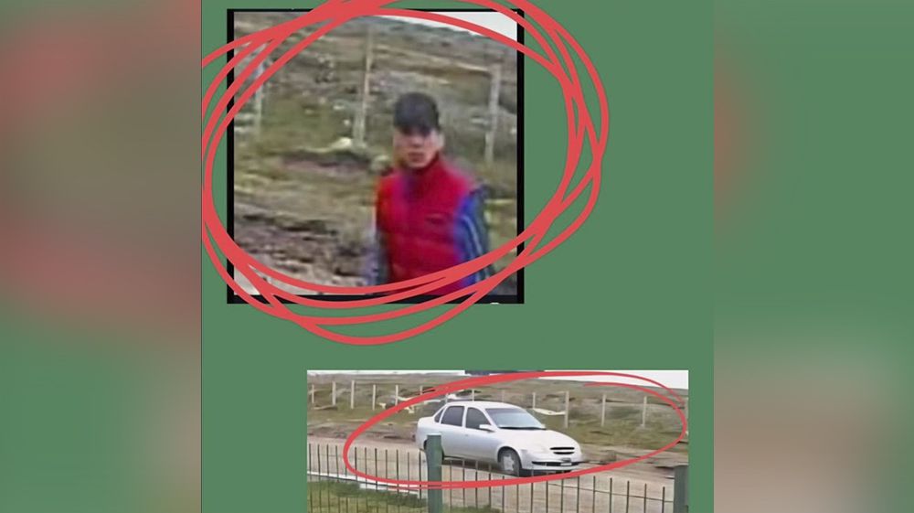 Asaltan plantación de cannabis terapéutico en Río Grande