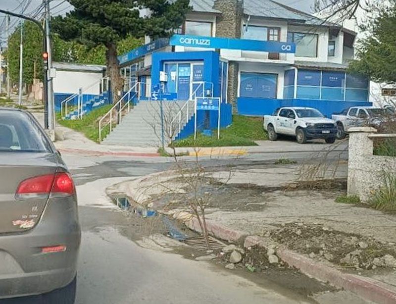 ¿Sumidero o vivero? 