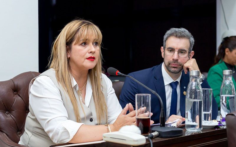 Enmienda constitucional para habilitar la boleta única 